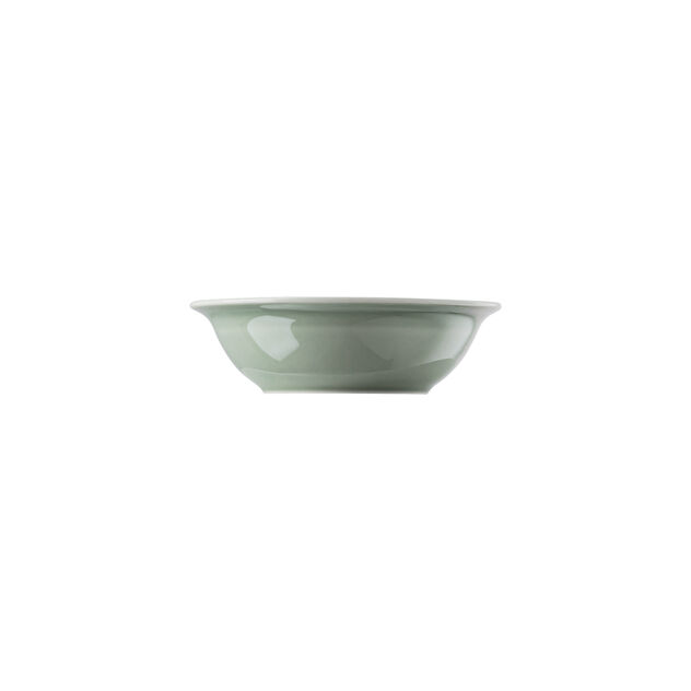 Bowl 17 cm image number 0